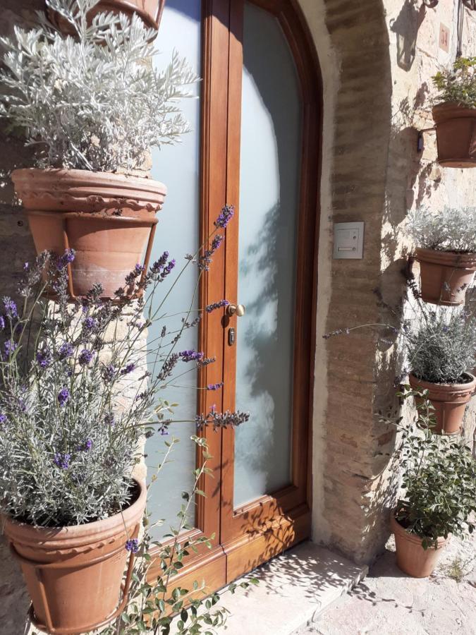 B&B San Francesco Assisi Exteriér fotografie